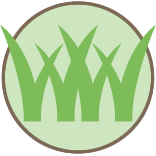 Lawn Removal Service Pros