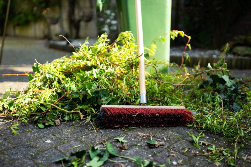 Brush Cleanup Service in Honolulu, HI