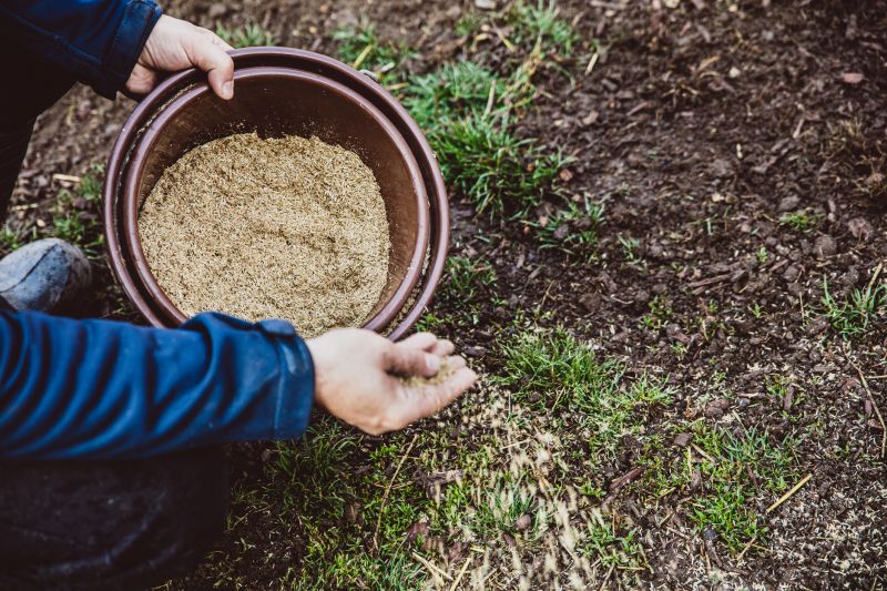 Commercial Grass Seeding in Ventura County, CA