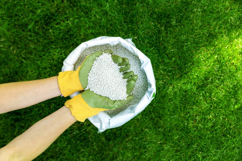 Fall Lawn Fertilizing in Ventura County, CA