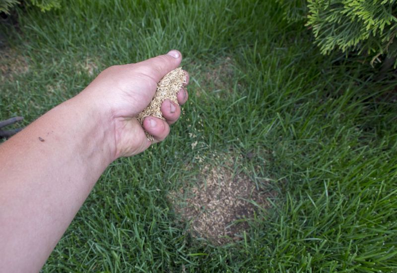 Grass Seed Installation in Ventura County, CA