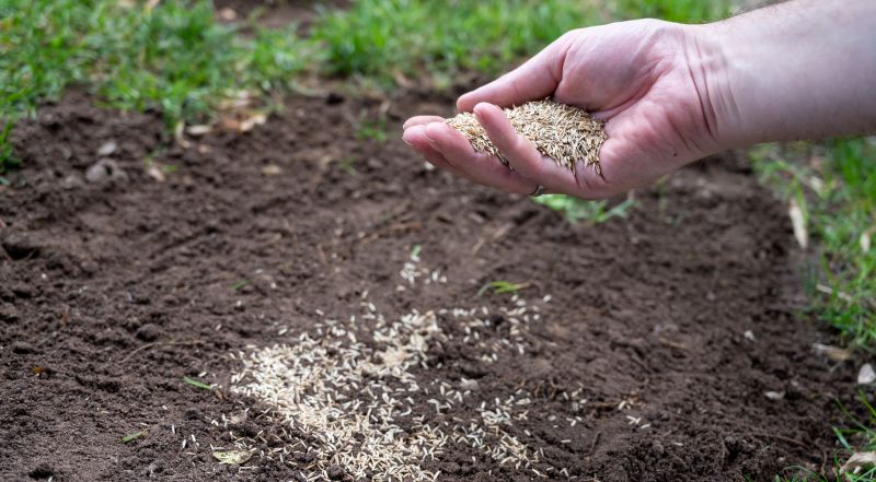 Grass Seeding Service in Ventura County, CA