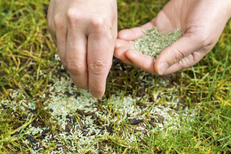 Grass Seeding Service in Honolulu, HI