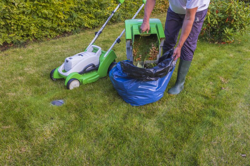 Landscaping Cleanup Service in Ventura County, CA