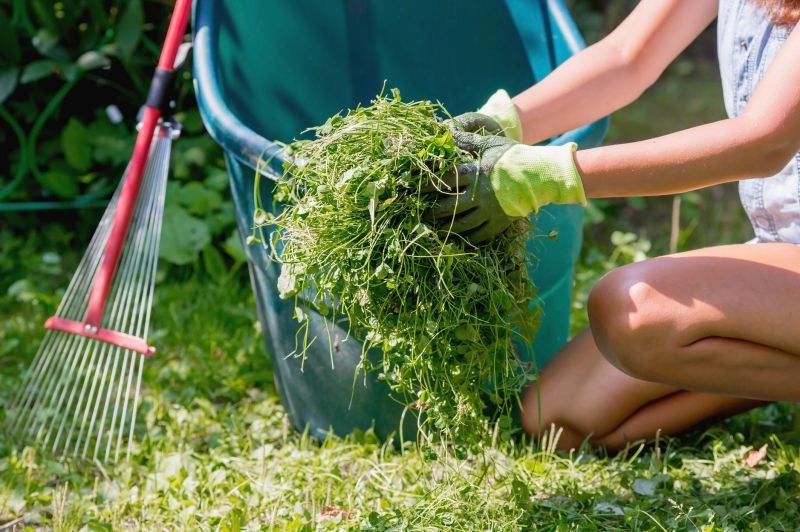 Lawn Cleanup Service in Honolulu, HI