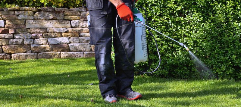 Lawn Herbicide Treatment in Aiken, SC