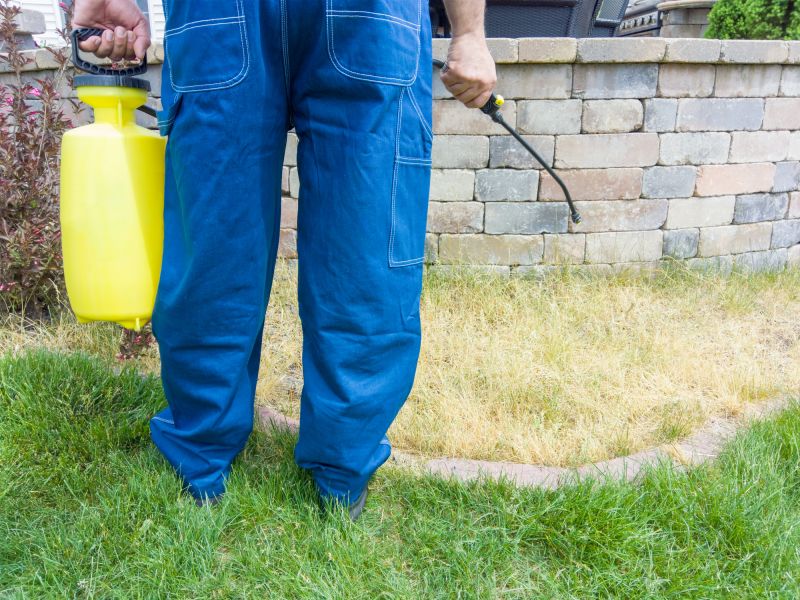 Lawn Moss Control in Ventura County, CA