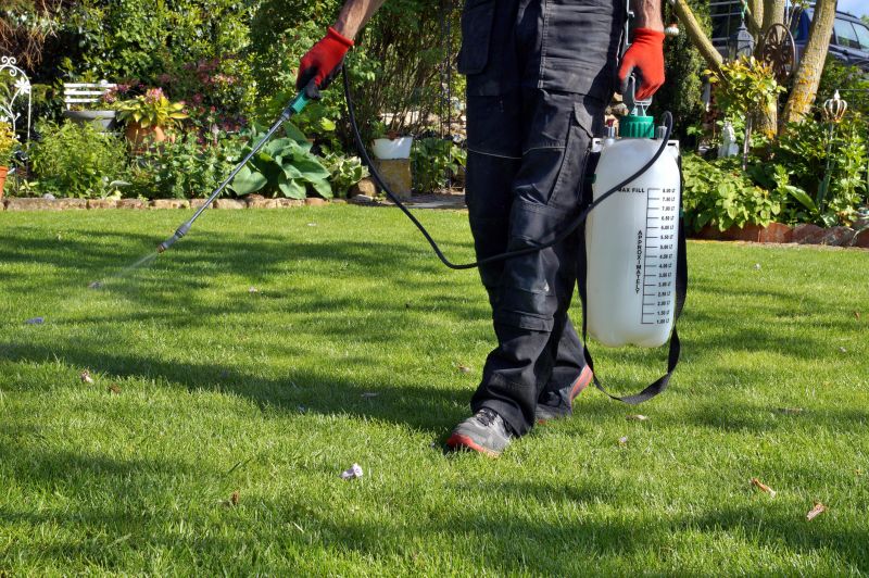 Lawn Moss Control in Honolulu, HI