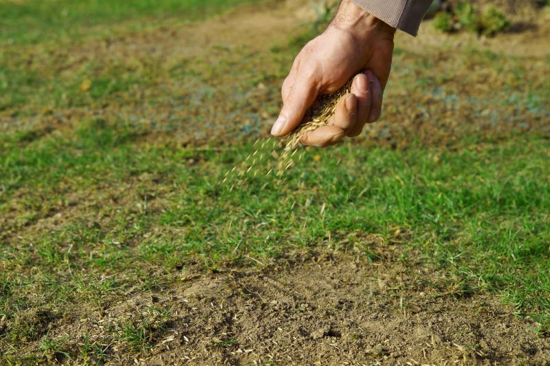 Lawn Seeding in Ventura County, CA