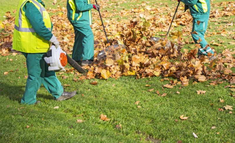 Leaves Vacuuming in Ventura County, CA