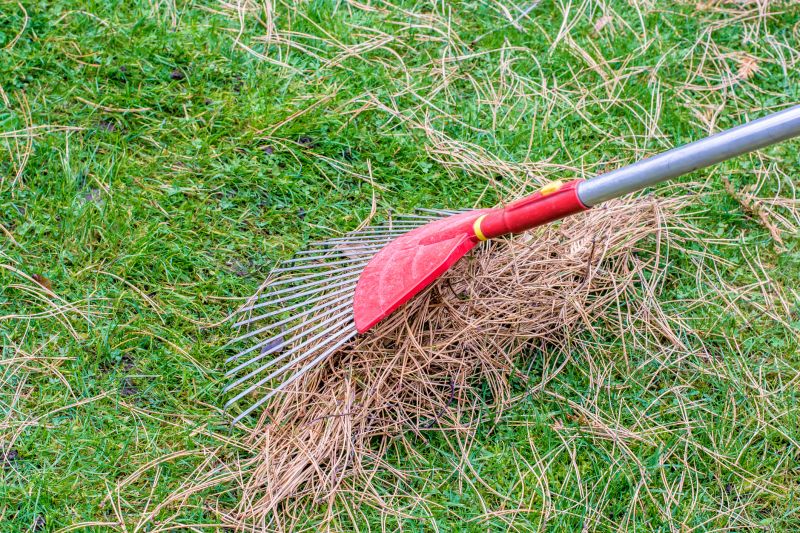 Pine Straw Raking in Honolulu, HI