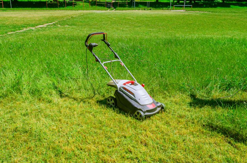 Vacant Lot Mowing in Prince Georges County, MD