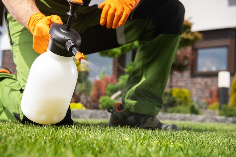 Weed Control Service in Rockwall, TX