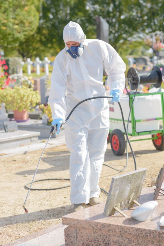 Weed Prevention Service in Aiken, SC