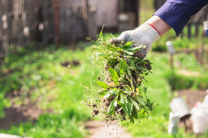 Weeding Service in Aiken, SC