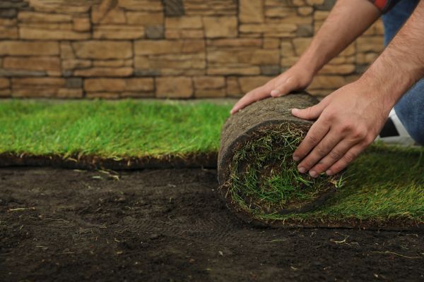 Sod Repair