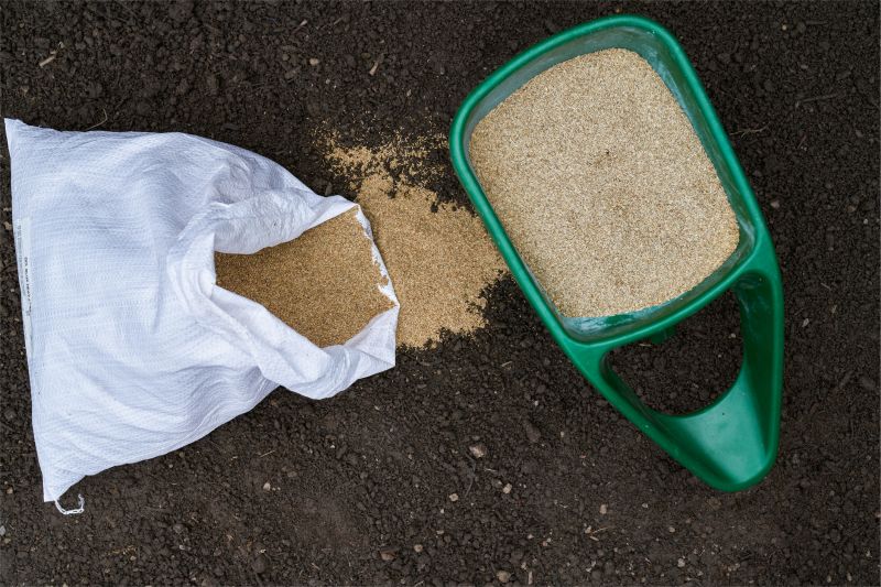 Bermuda Grass Seeding in Honolulu, HI