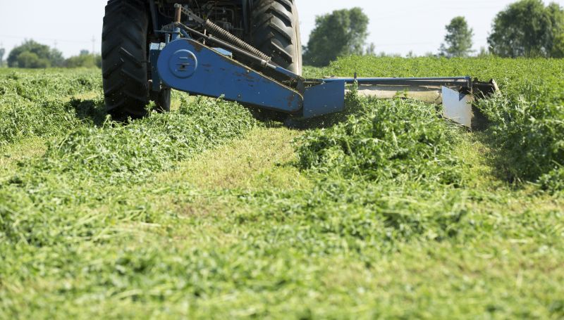 Brush Mowing Service in Prince Georges County, MD