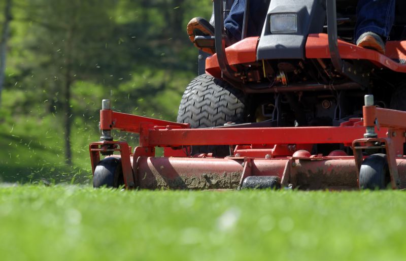 Brush Mowing Service in Waldorf, MD