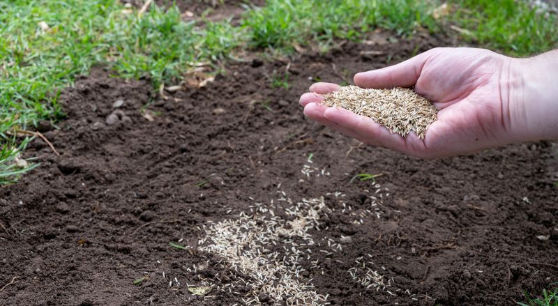 Commercial Grass Seeding in Ventura County, CA