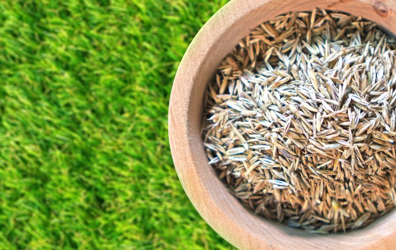 Commercial Lawn Seeding in Honolulu, HI
