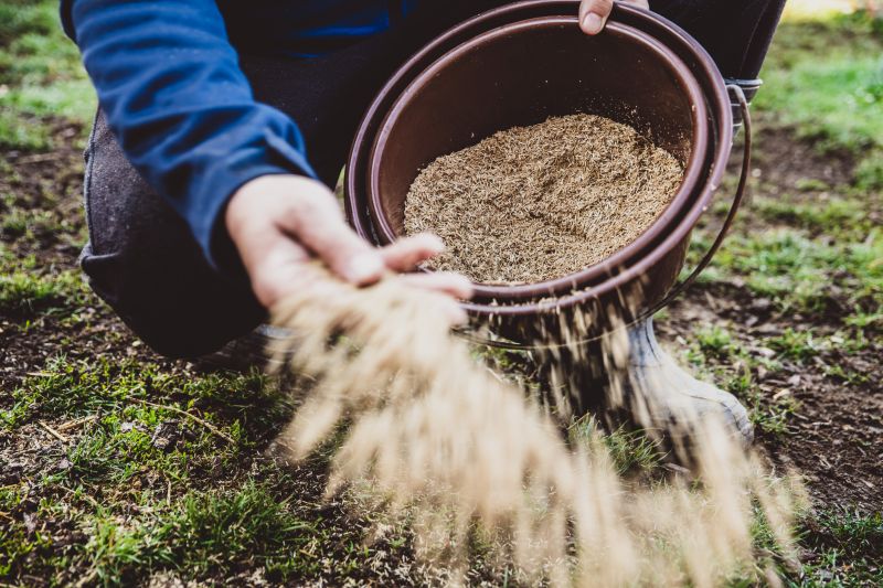 Commercial Lawn Seeding in Ventura County, CA