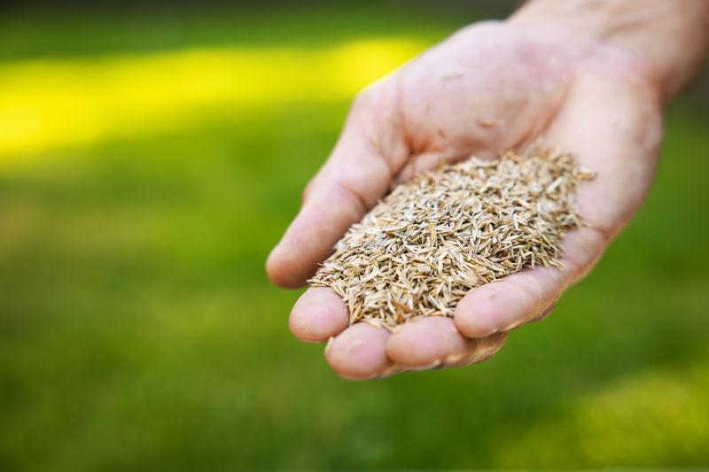 Commercial Lawn Seeding in Ventura County, CA
