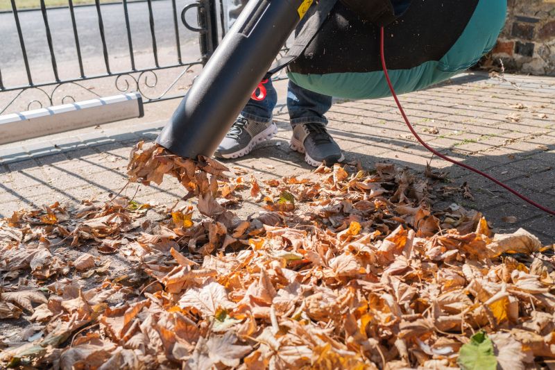 Commercial Leaf Removal in Honolulu, HI