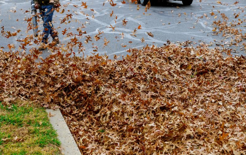 Commercial Leaf Removal in Honolulu, HI
