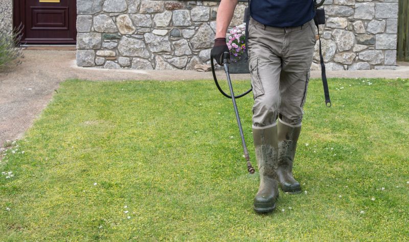 Crabgrass Prevention in Honolulu, HI