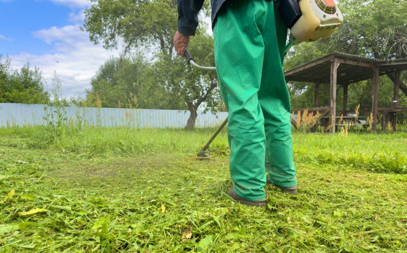 Crabgrass Removal in Ventura County, CA