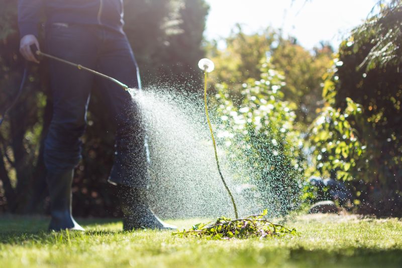 Crabgrass Removal in Honolulu, HI