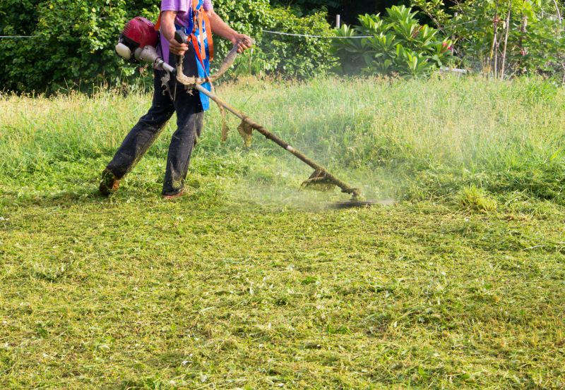Crabgrass Removal in Rockwall, TX