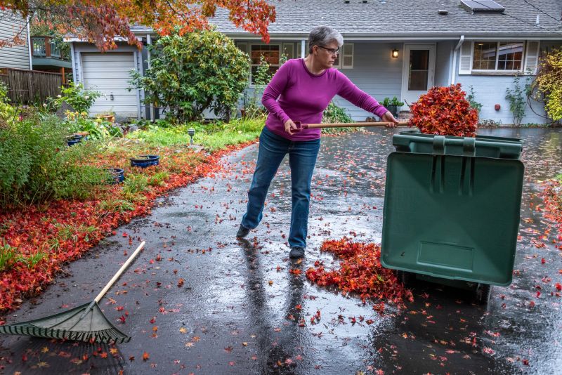 Leaves Covering the Lawn