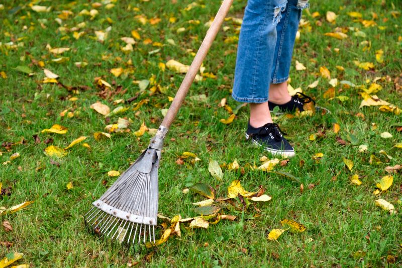 Tools for Fall Cleanup