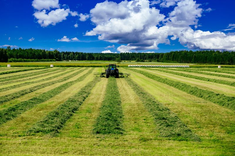 Field Mowing in Duluth, MN
