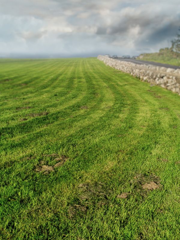 Field Mowing in Prince Georges County, MD