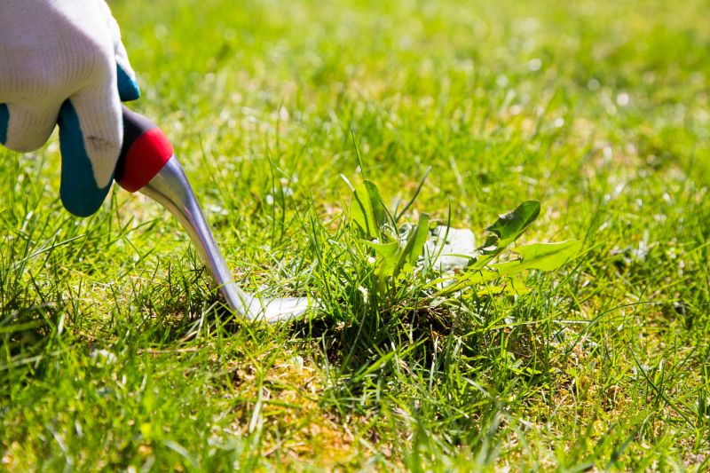 Garden Deweeding in Aiken, SC