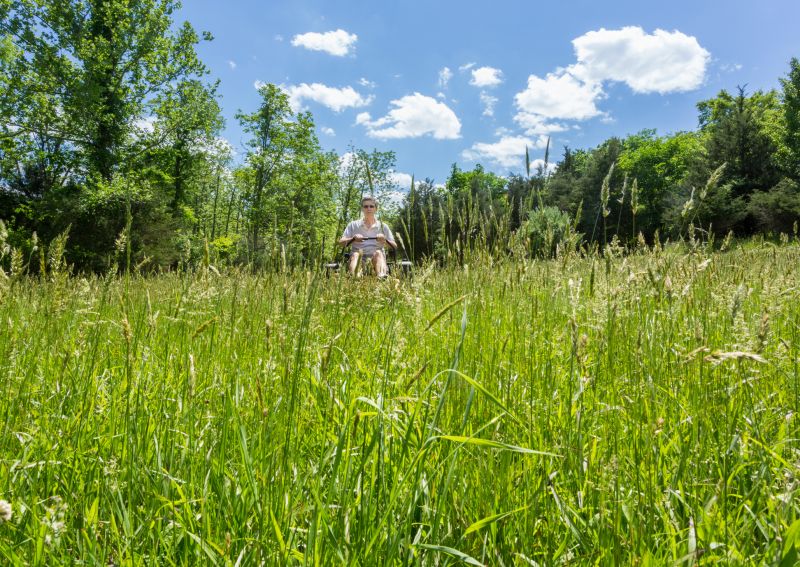 Grass Mowing in Bowie, MD