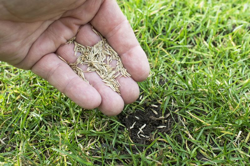 Grass Seed Installation in Ventura County, CA