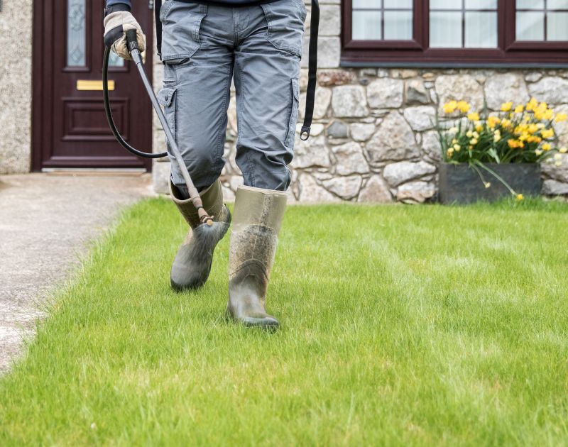 Grass Treatment in Honolulu, HI