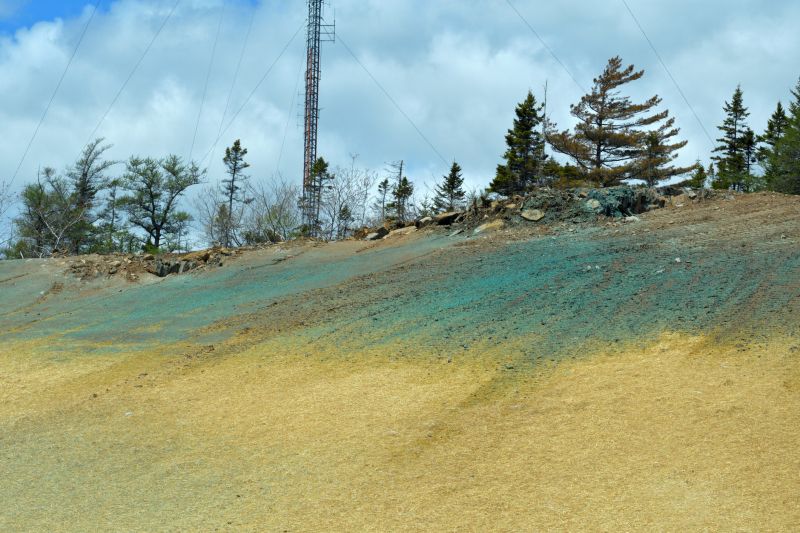 Hill Hydroseeding in Honolulu, HI