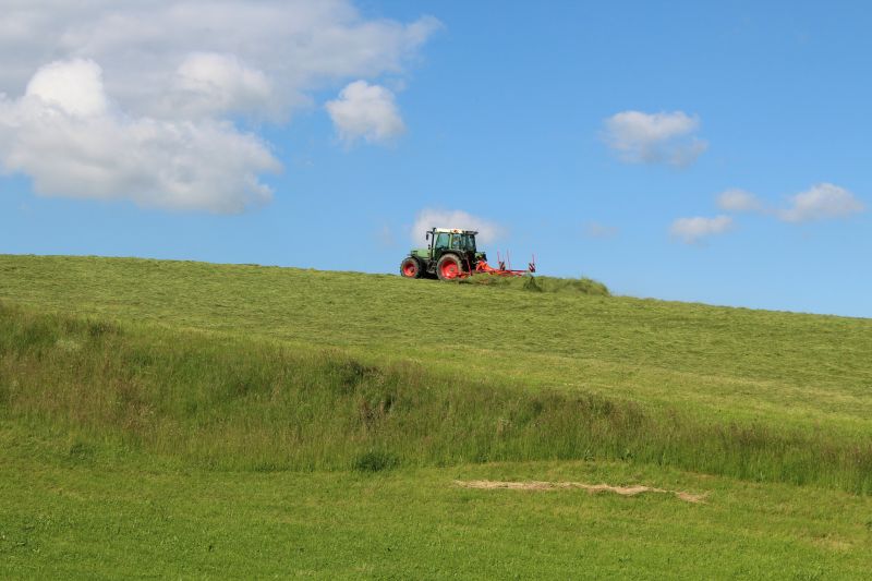 Hill Mowing in Bowie, MD
