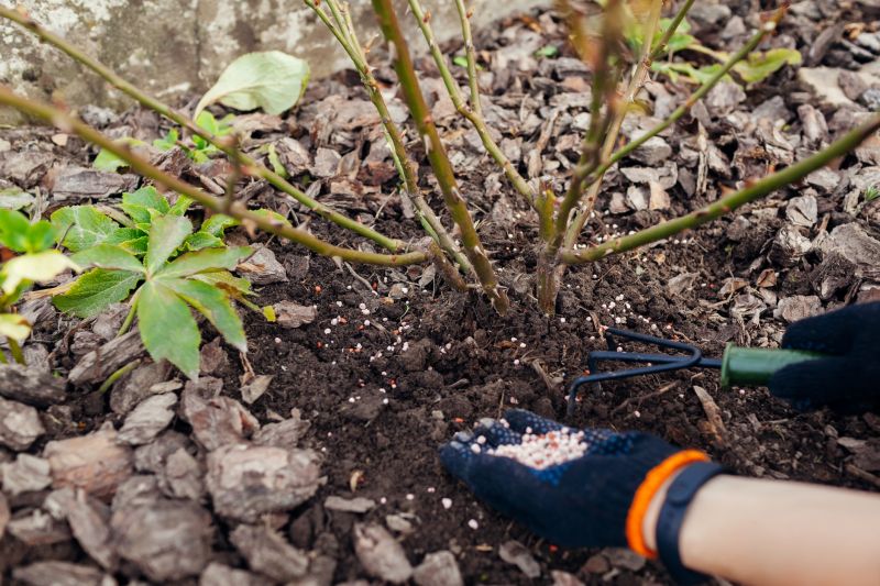 Landscape Fertilizing Service in Ventura County, CA