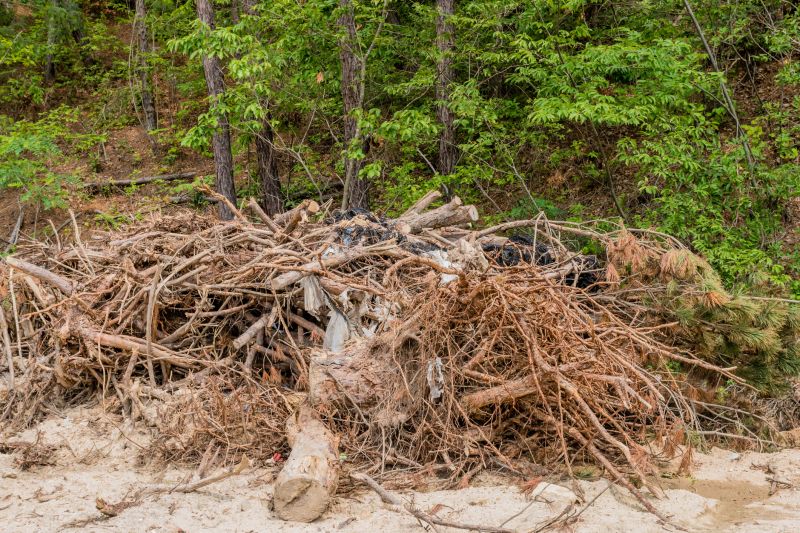 Lawn Debris Cleanup in Honolulu, HI