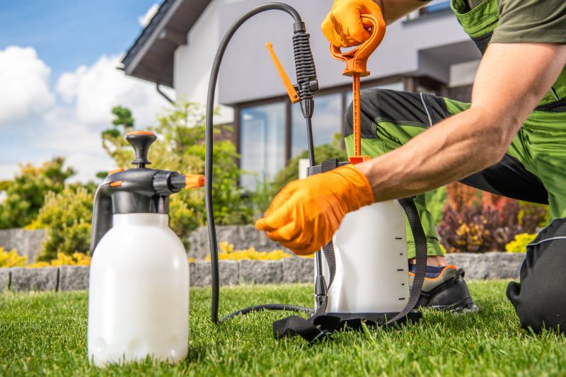 Lawn Disease Treatment in Ventura County, CA