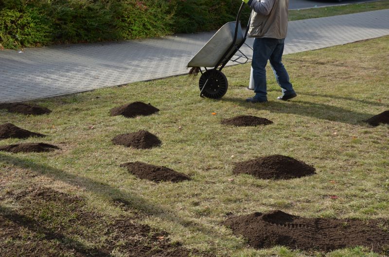 Lawn Enrichment in Honolulu, HI