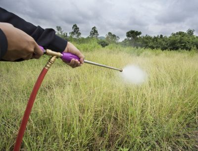 Lawn Herbicide Treatment in Aiken, SC