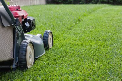 Lawn Maintenance in Bowie, MD