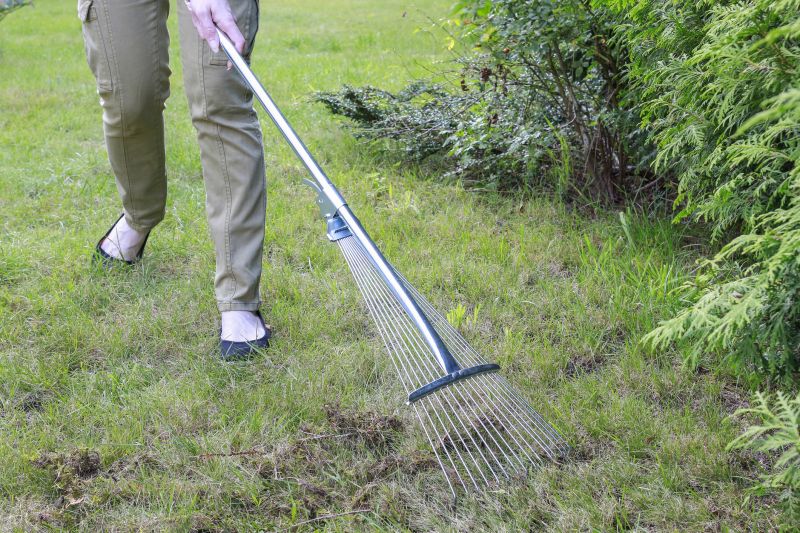 Lawn Moss Control in Honolulu, HI